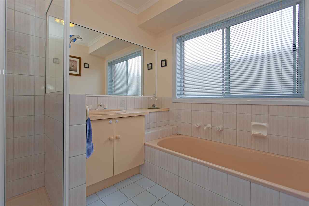 resized-2349823-edit11 kingfisher 5.JPG